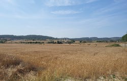 Balears (Illes), Balearic Islands 07510