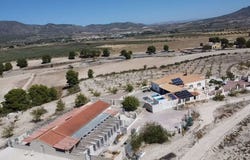 Salinas, Valencian Community 03130