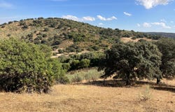 Puebla de Cazalla (La), Andalusia