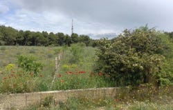 Lleida, Catalonia