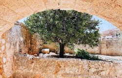 Algaida, Illes Balears|Baleares 07210