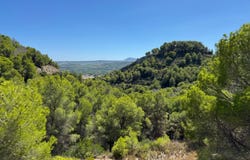 Jávea, Valencian Community 3730