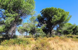 Huelva, Andalusia 21590