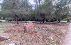 MON MITAD, Denia, Valencian Community 3700