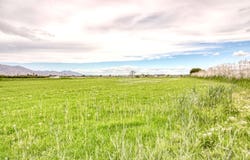 Alicante, Valencian Community 03349