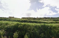 Tacoronte, Canary Islands
