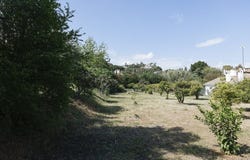 Estepona, Andalusia 29680