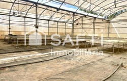Alfarp, Valencian Community 46197