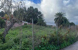 Palmas de Gran Canaria (Las), Canary Islands