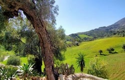 Casarabonela, Malaga 29566