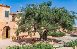 Campos, Balearic Islands 07630