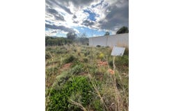 Betxi, Valencian Community 12549