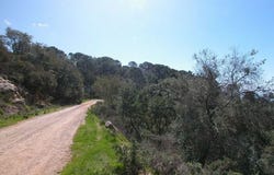 Selwo, Estepona, Malaga 29680