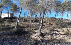 Olivella, Catalonia