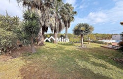 Dénia, Valencia 03700