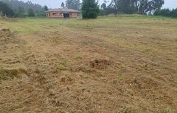 Vista Alegre, Laracha, BergantiÃ±os 15145