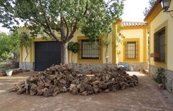 Osuna, Andalusia 41640
