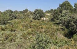 El Palomar, Valencian Community 46891