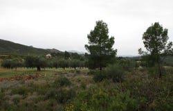 Macastre, Valencian Community
