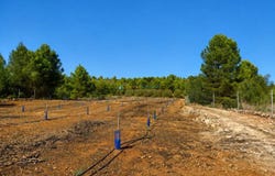 Sumacàrcer, Valencian Community 46295