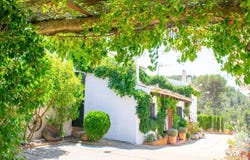 Onil, Valencia 03430