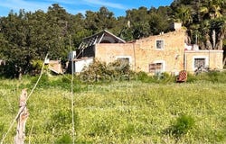 Sant Joan de Labritja, Balearic Islands 07849
