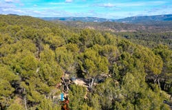 Arandilla del Arroyo, Castile-La Mancha 16812