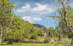 Felanitx, Balearic Islands 07200