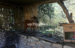 Gaucín, Andalusia 29480