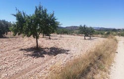 Abanilla, Region of Murcia