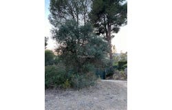 Benissa, Alicante/alacant 03720