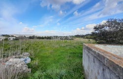San Jose, The Balearic Islands 07829