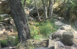 Lanzahita, Castilla y León 05490