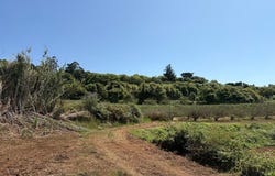 Tacoronte, Canary Islands