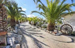 Guaro, Andalucía