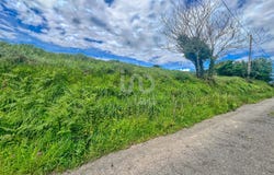 Asturias, Asturias 33456