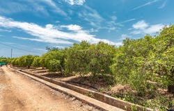Vila-real, Valencian Community 12540