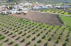 Cuevas del Becerro, Andalusia 29470