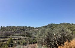 Teulada, Alicante (costa Blanca)