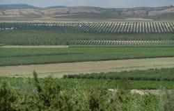 Yecla, Murcia 30510
