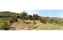 Santa Brigida, Canary Islands 35308