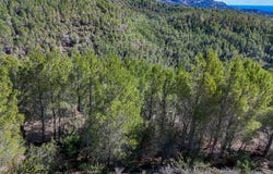 Altea, Valencia 03590