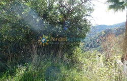 Oliva, Valencian Community 46780