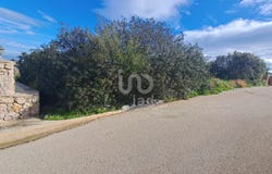 Alicante, Valencian Community 03780