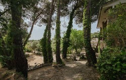 Pelayos de la Presa, Community of Madrid