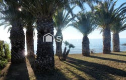 Alcanar, Catalonia 43530