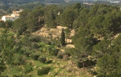 Altea la Vella, Valencian Community 03599