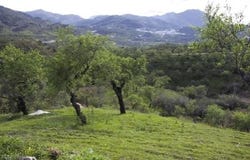 Monda, Andalusia 29110