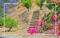 Cómpeta, Andalusia 29754