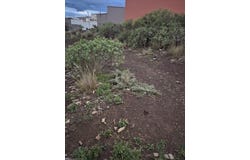 Santa Cruz de Tenerife, Canary Islands 38107